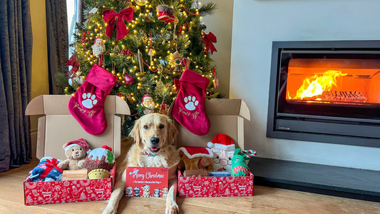 mydogify Christmas hampers - including dog toys, accessories and treats