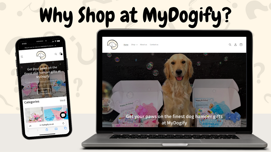 Why Shop at MyDogify? (Blog)