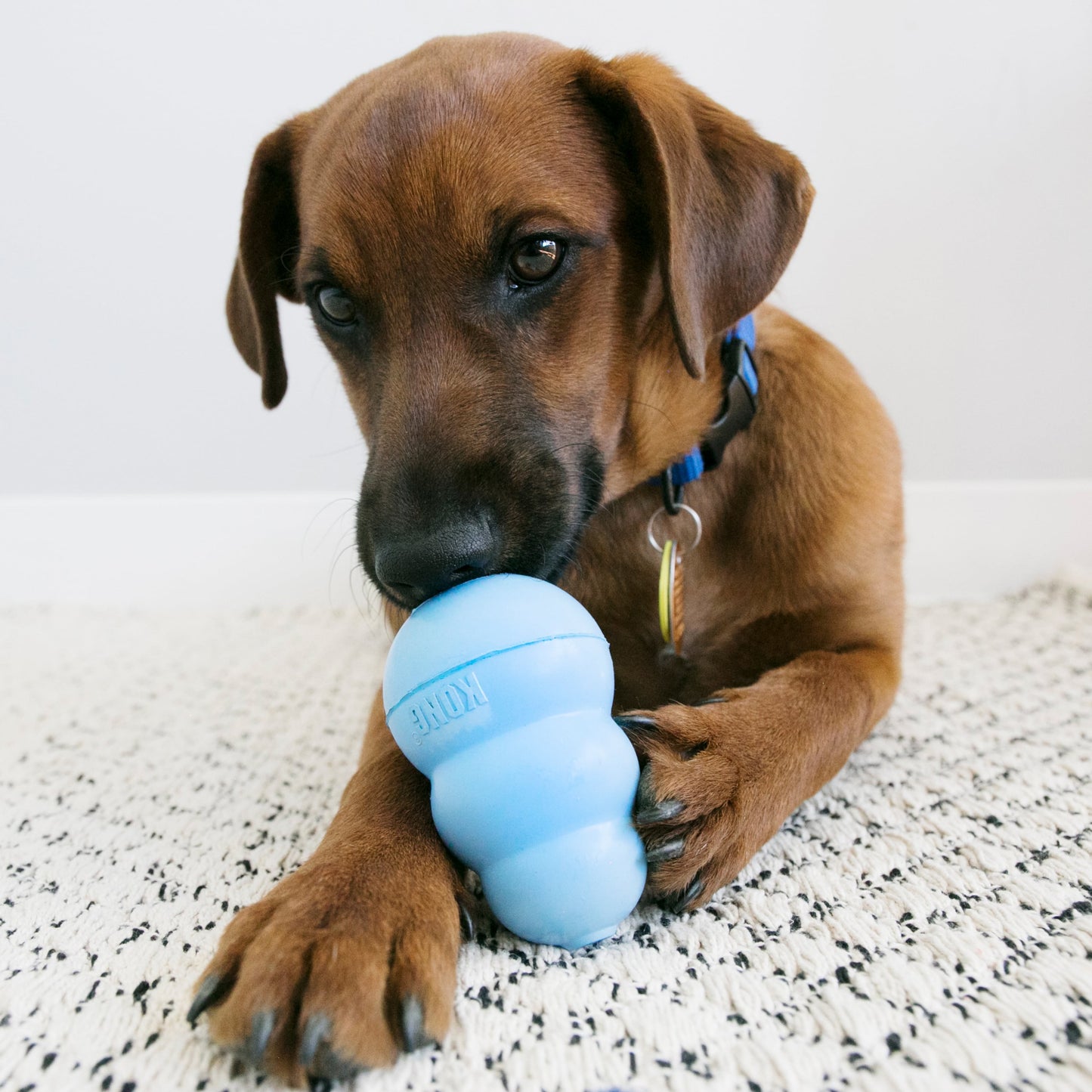 KONG Snacks - Puppy