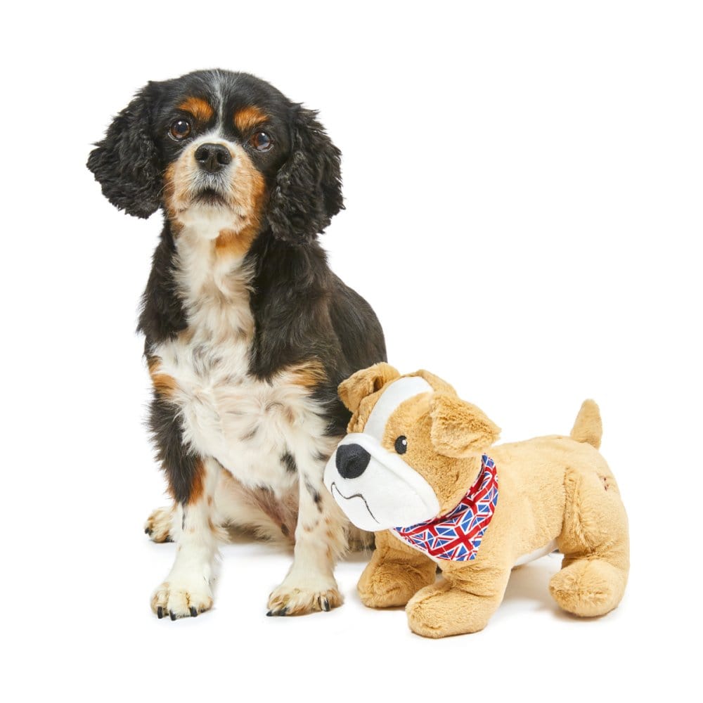 Bailey The Bulldog Dog Toy