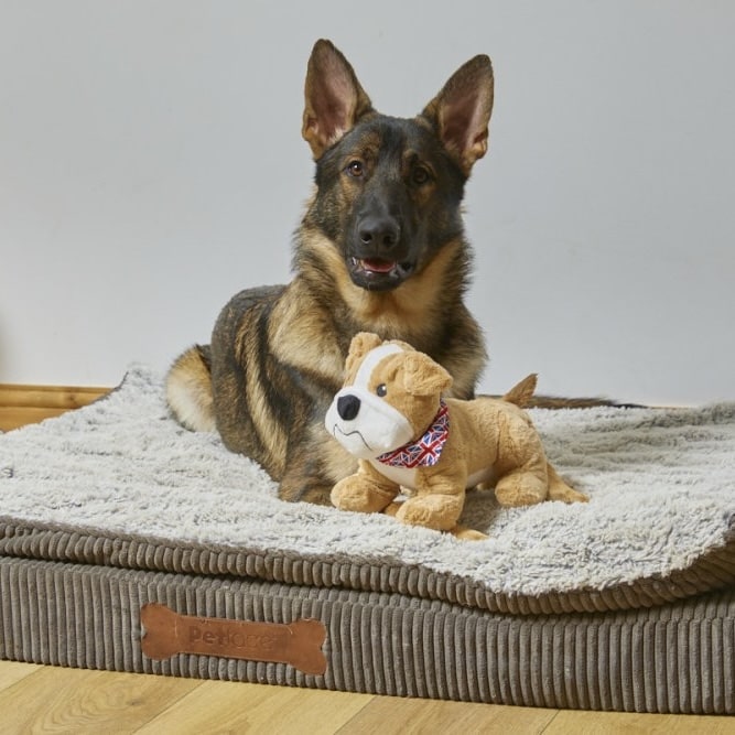 Bailey The Bulldog Dog Toy