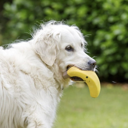 Banana Toy