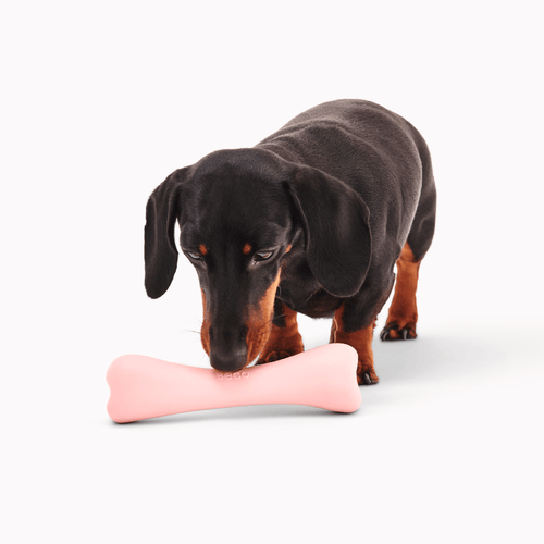 beco natural rubber dog treat bone