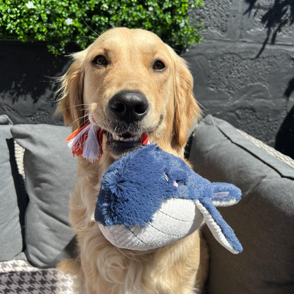 Blue Whale Toy