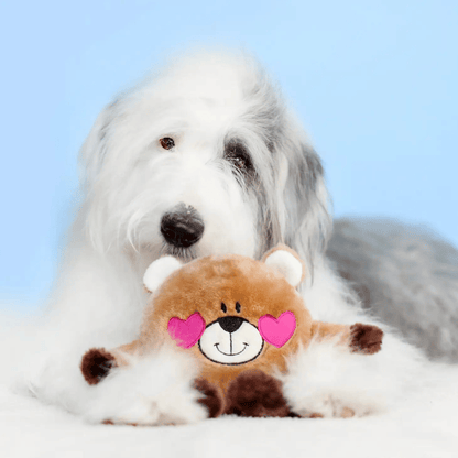 Brainey Bear In Love Dog Toy