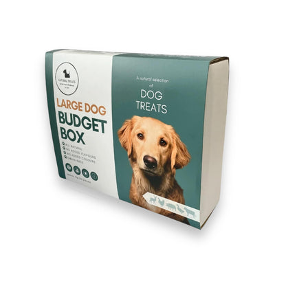 Budget Treat Box Large Dogs