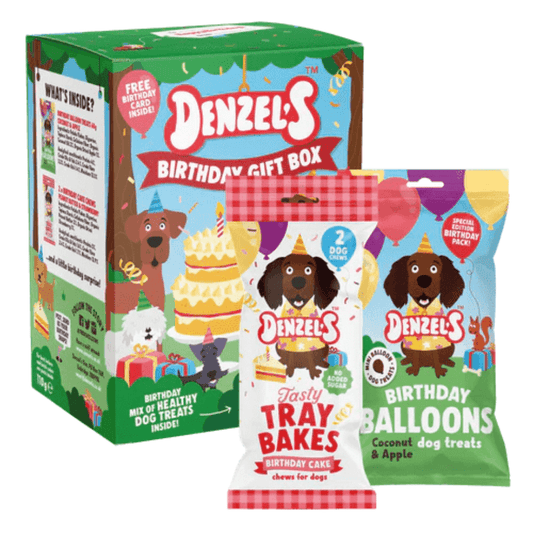Denzel's Birthday Dog Treat Box