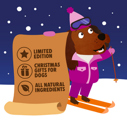 Denzels Christmas Dog Advent Calendar