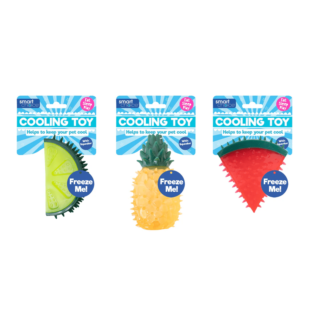 Freezable Fruit Cooling Toy