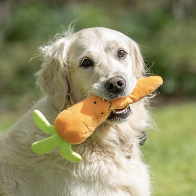 Furry Carrot Plush Dog Toy