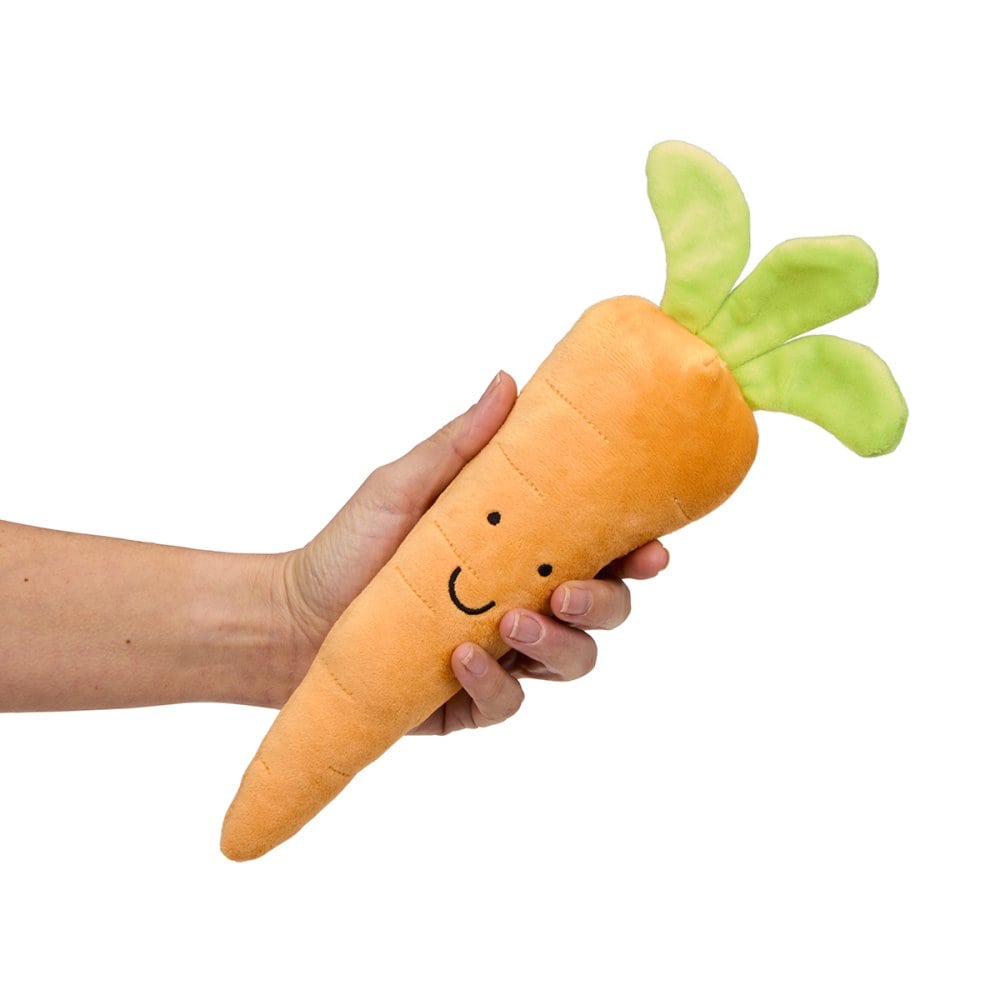Furry Carrot Plush Dog Toy