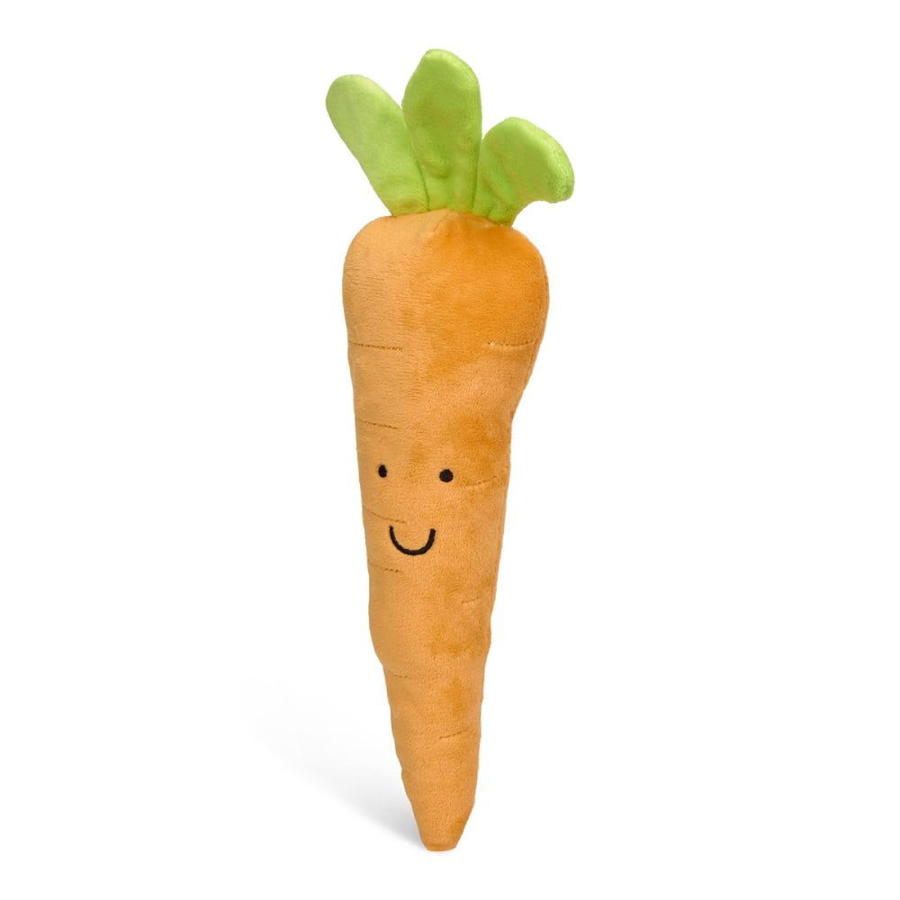 Furry Carrot Plush Dog Toy