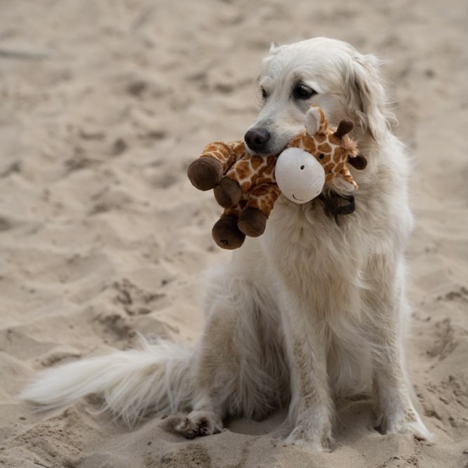 George Giraffe Dog Toy