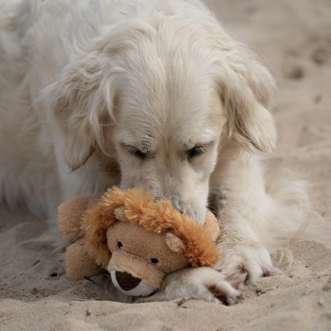 George Giraffe Dog Toy