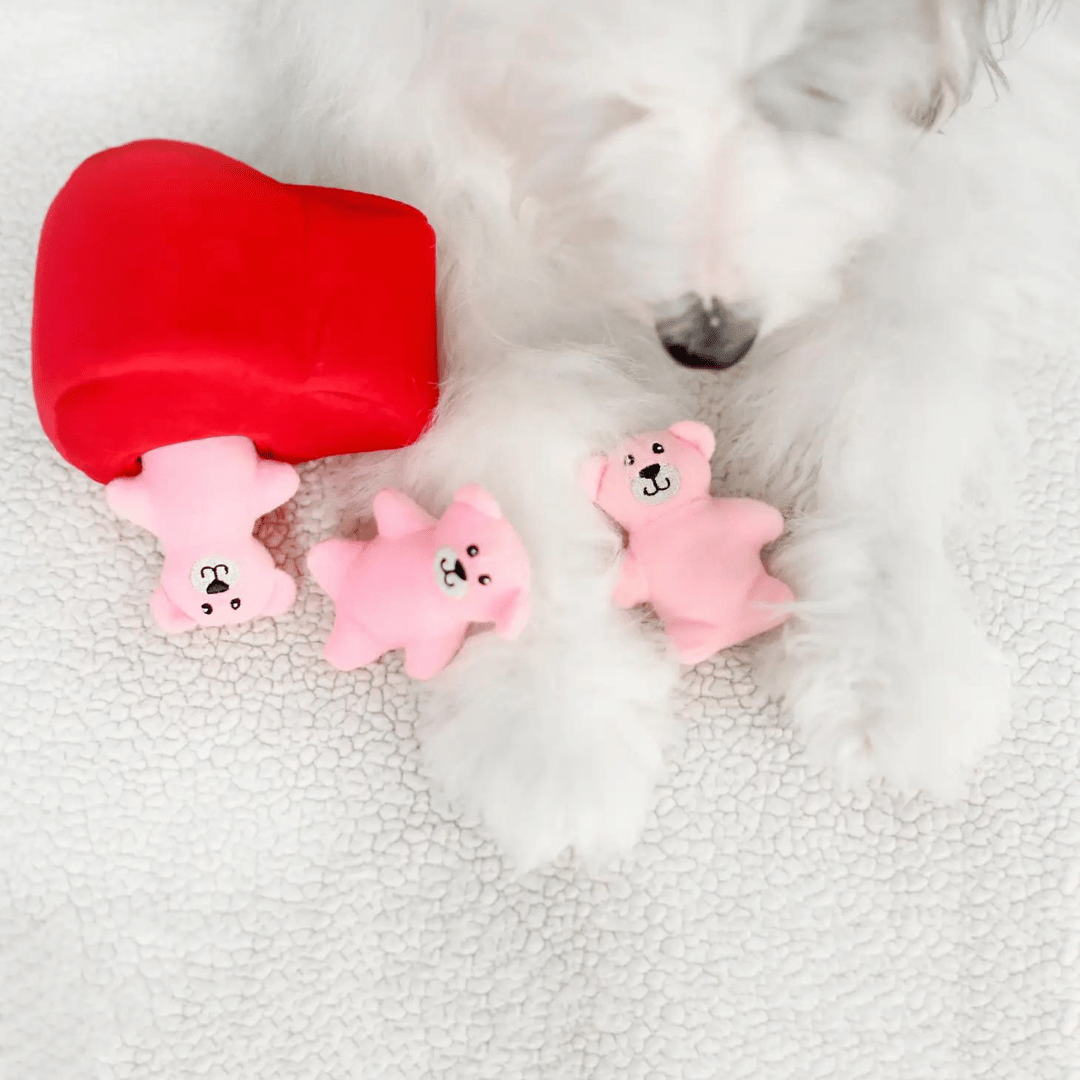 Heart And Bears Hide And Seek Burrow Dog Toy