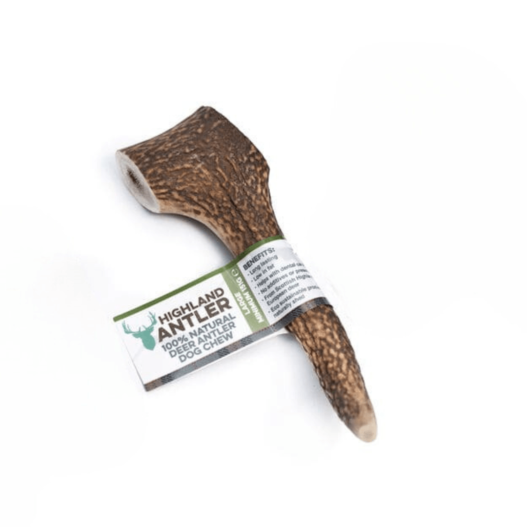 Highland Deer Antler Dog Chew