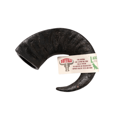 Large Buffalo Horn Dog Chew