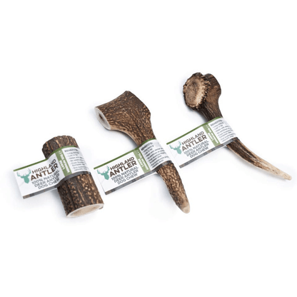 Large Highland Deer Antler Dog Chew