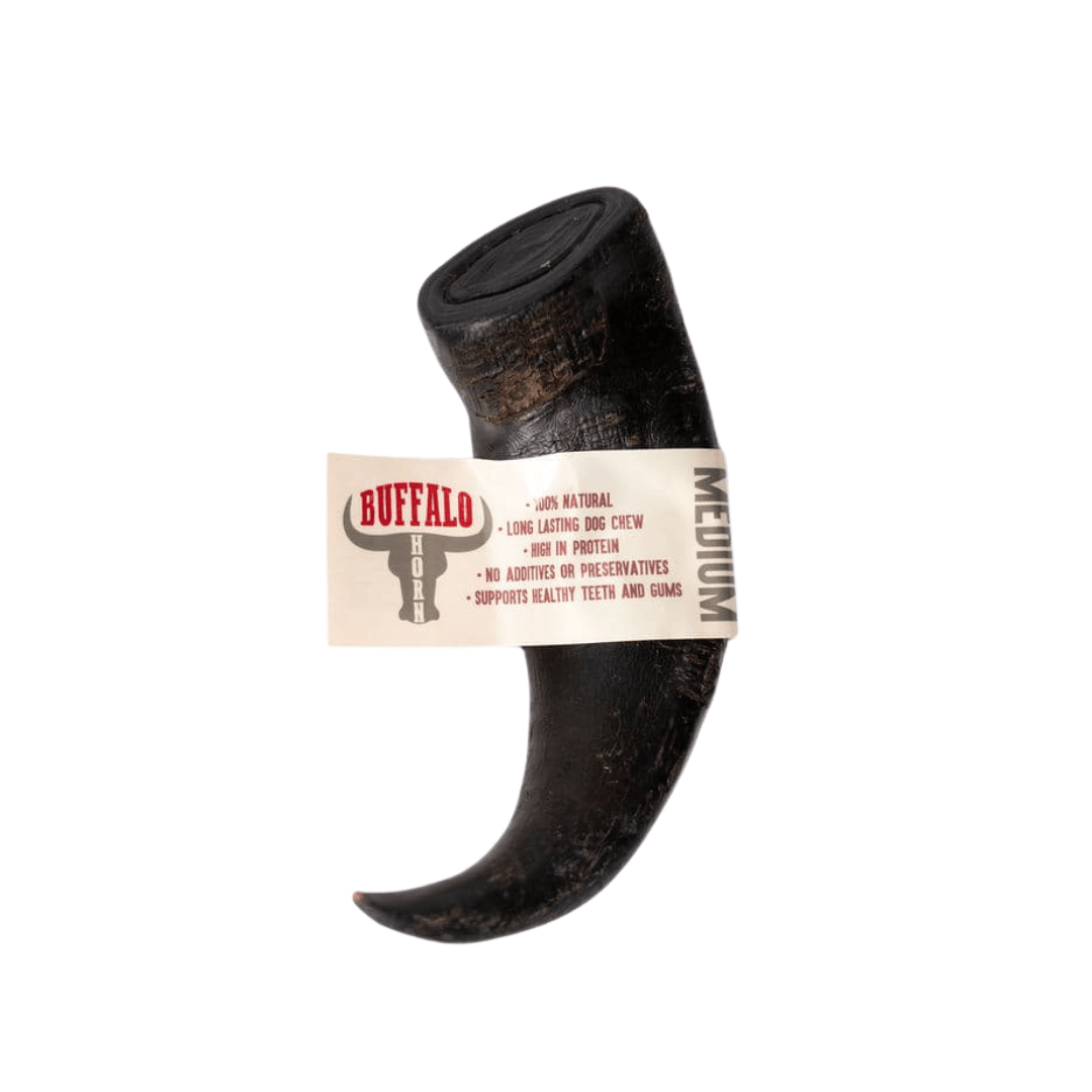 Medium Buffalo Horn Dog Chew