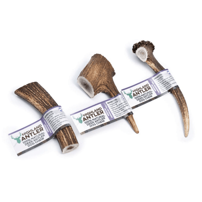 Medium Highland Deer Antler Dog Chew