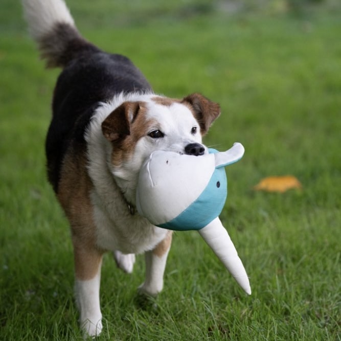 Niya Narwhal Toy