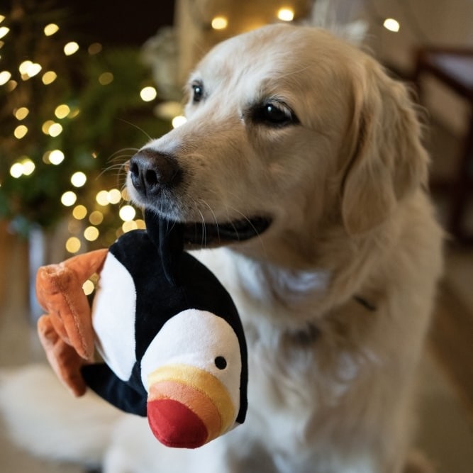 Pana Puffin Dog Toy