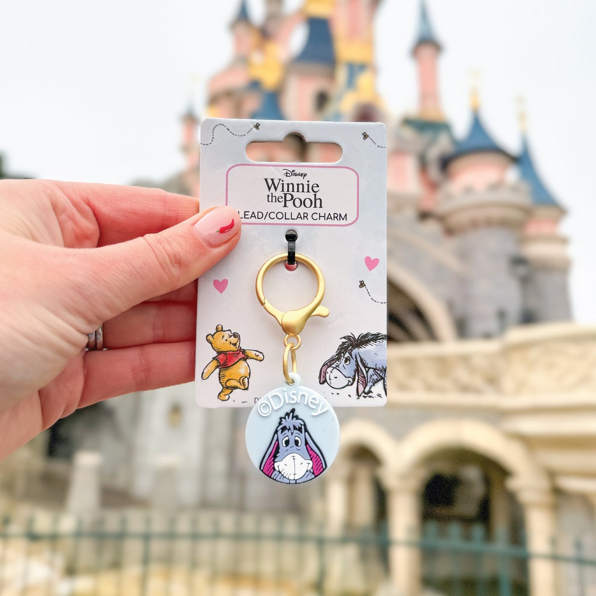 Pawsome Paws Boutique x Disney Charm - Eeyore