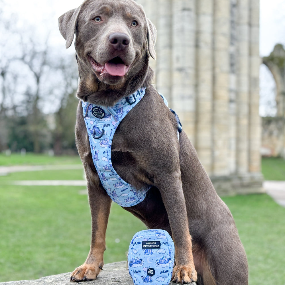 Pawsome Paws Boutique x Disney Treat Bag - Eeyore