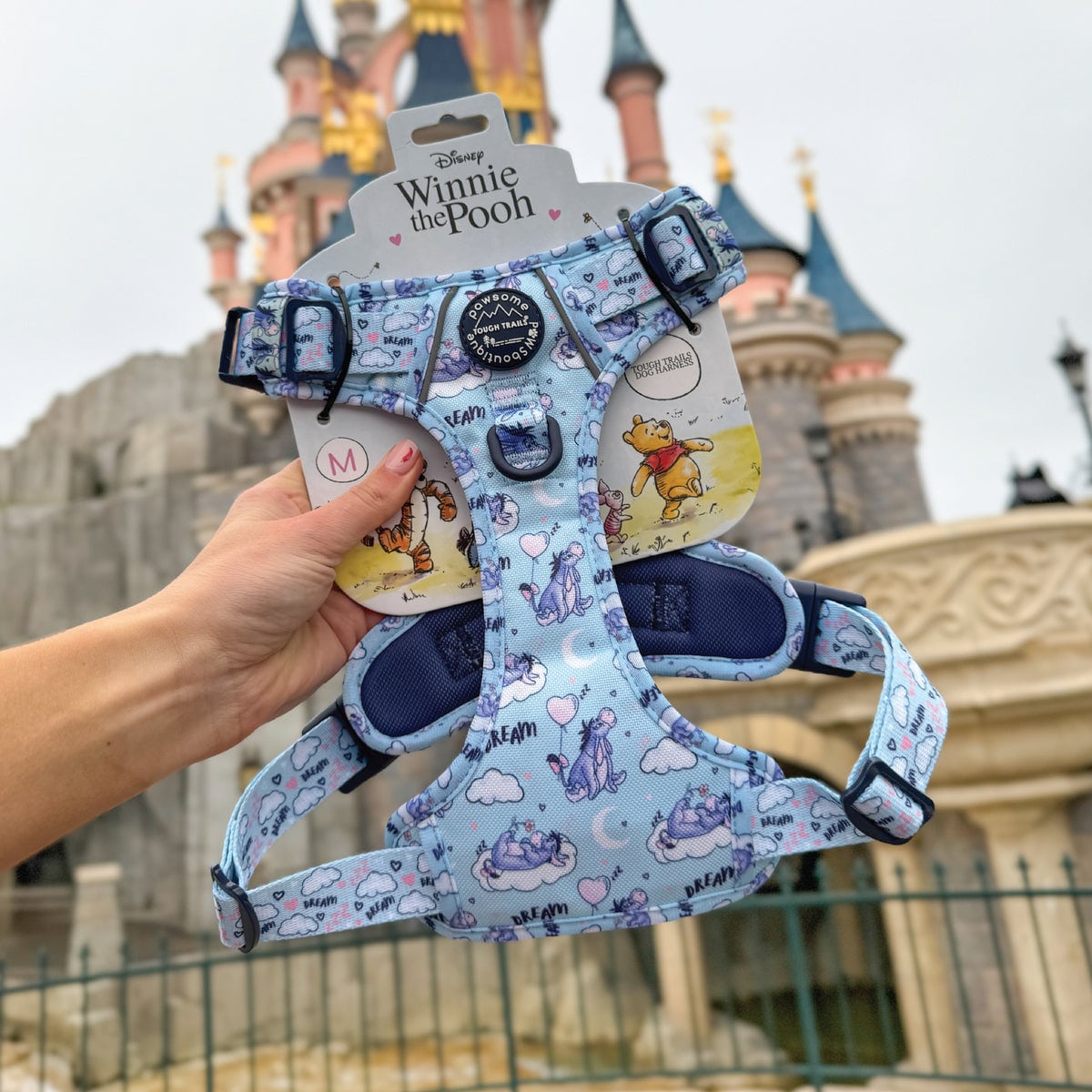 Pawsome Paws Boutique x Disney Tough Trails Harness - Eeyore