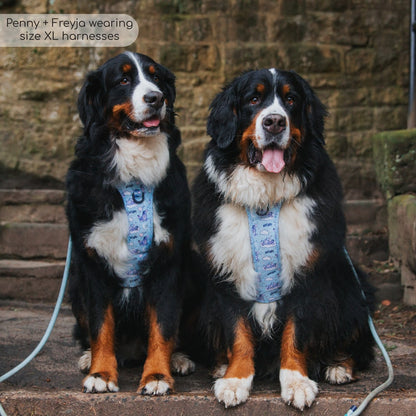 Pawsome Paws Boutique x Disney Tough Trails Harness - Eeyore