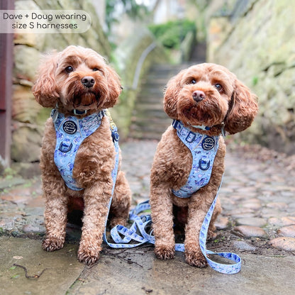 Pawsome Paws Boutique x Disney Tough Trails Harness - Eeyore