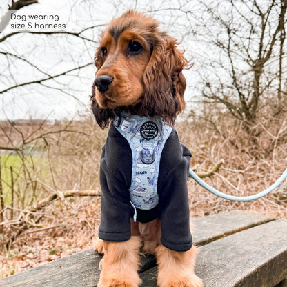 Pawsome Paws Boutique x Disney Tough Trails Harness - Eeyore