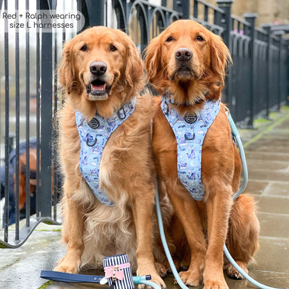 Pawsome Paws Boutique x Disney Tough Trails Harness - Eeyore