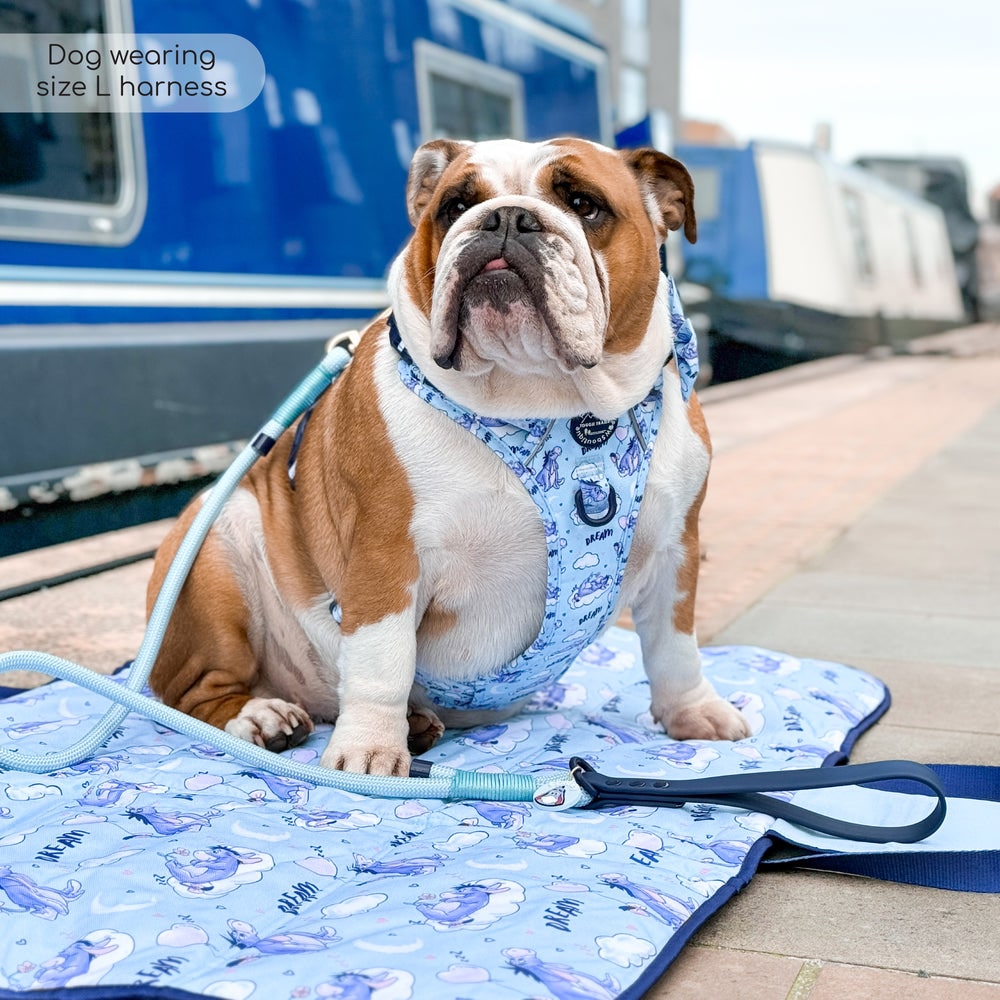 Pawsome Paws Boutique x Disney Tough Trails Harness - Eeyore