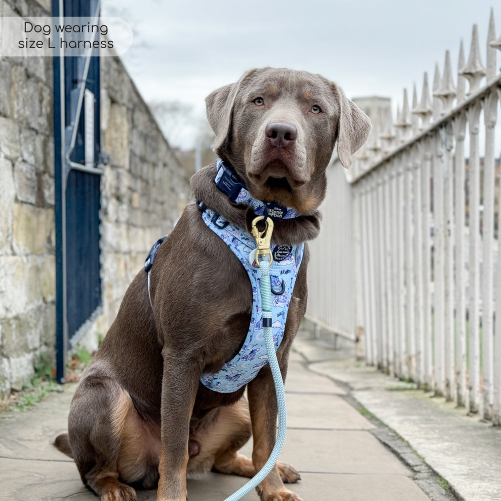 Pawsome Paws Boutique x Disney Tough Trails Harness - Eeyore