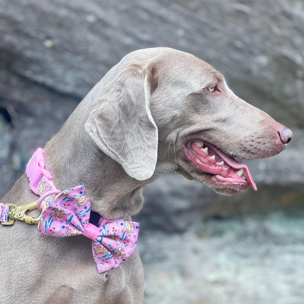 Pawsome Paws Boutique x Disney Bow Tie - Nala