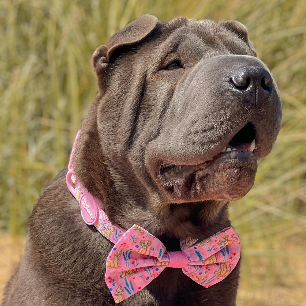 Pawsome Paws Boutique x Disney Bow Tie - Nala