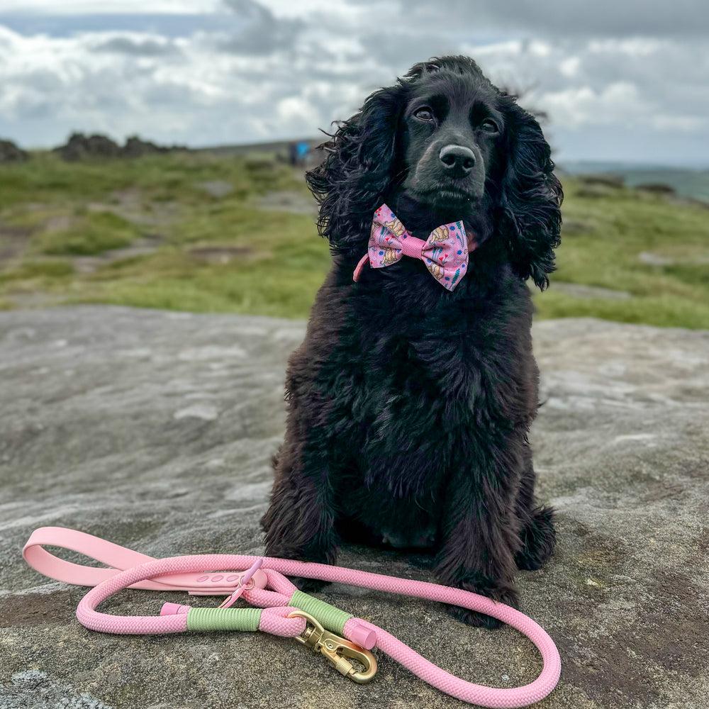 Pawsome Paws Boutique x Disney Bow Tie - Nala