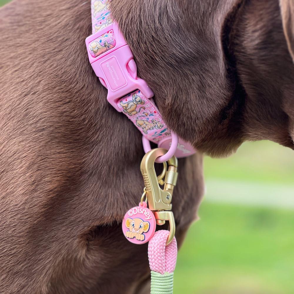 Pawsome Paws Boutique x Disney Charm - Nala