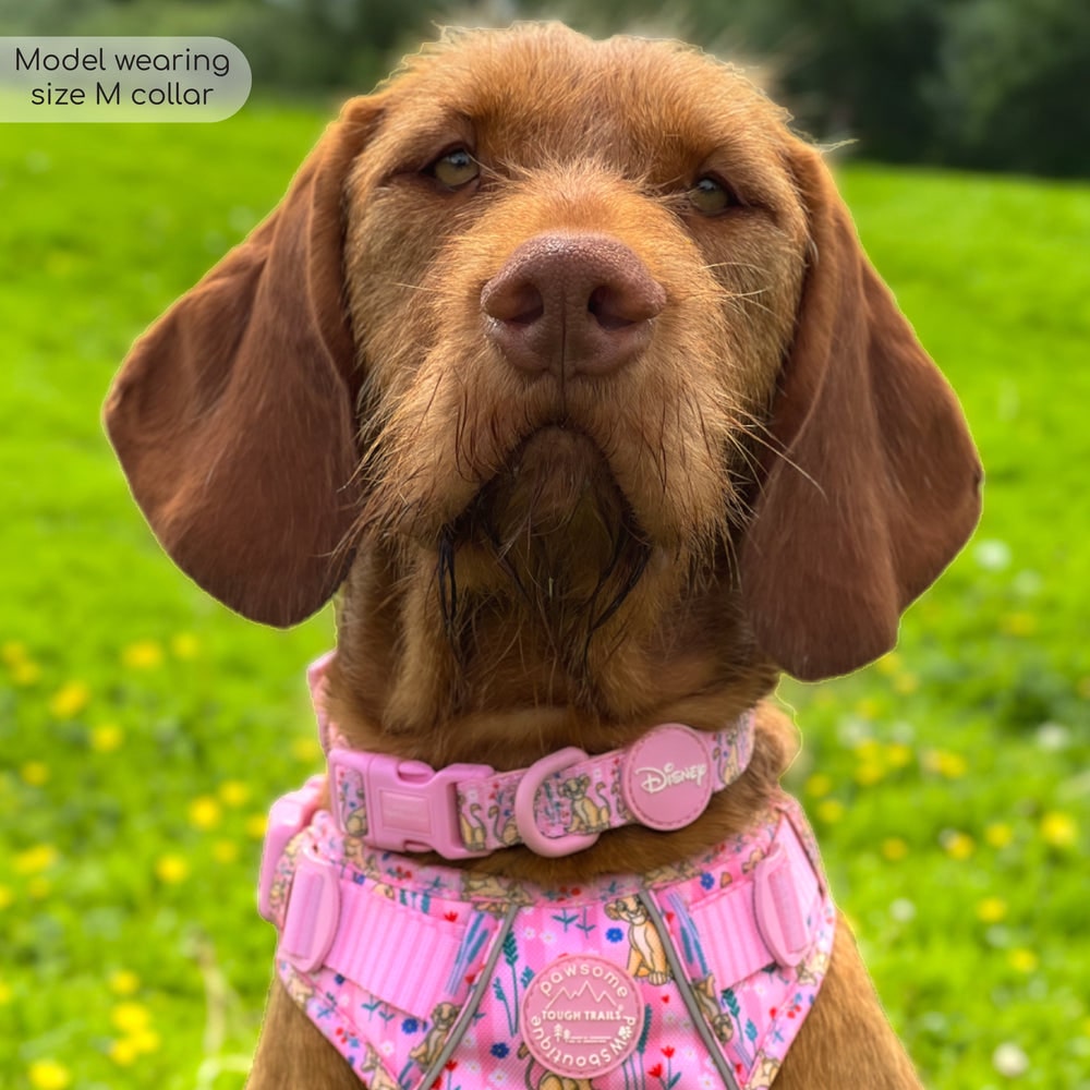 Pawsome Paws Boutique x Disney Collar - Nala