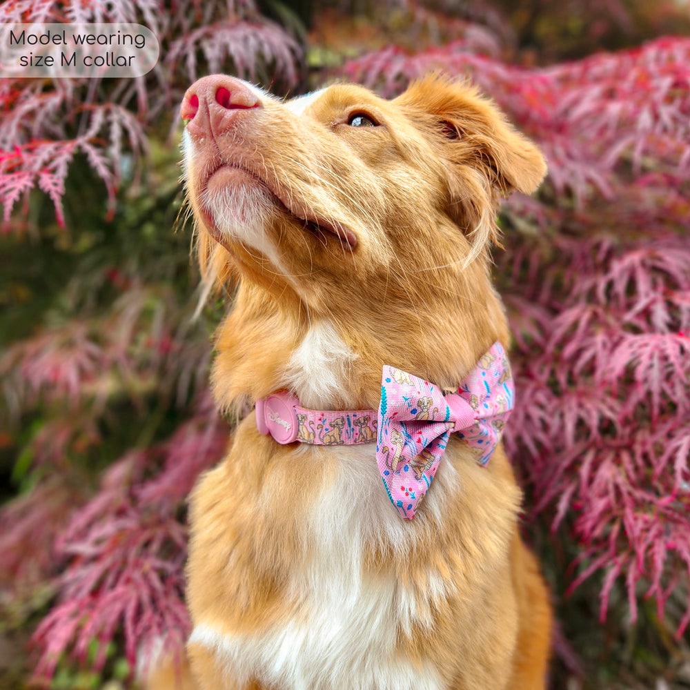 Pawsome Paws Boutique x Disney Collar - Nala