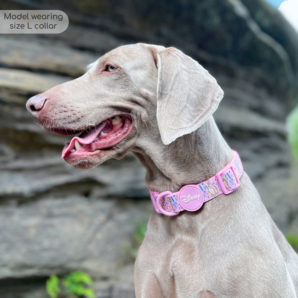 Pawsome Paws Boutique x Disney Collar - Nala