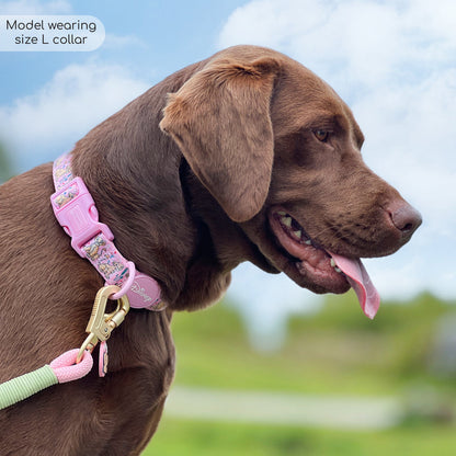 Pawsome Paws Boutique x Disney Collar - Nala