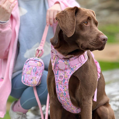 Pawsome Paws Boutique x Disney Treat Bag - Nala