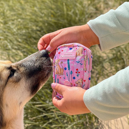 Pawsome Paws Boutique x Disney Treat Bag - Nala