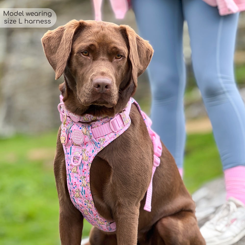 Pawsome Paws Boutique x Disney Tough Trails Harness - Nala