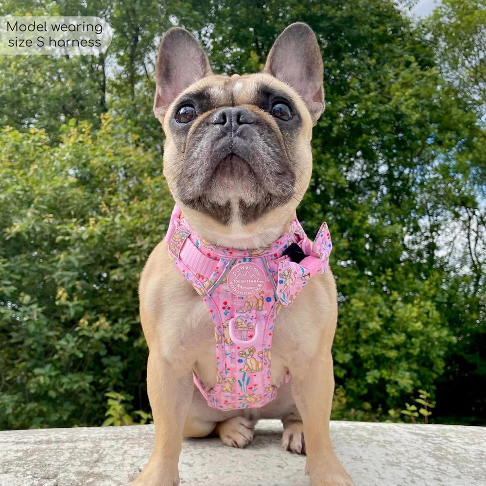 Pawsome Paws Boutique x Disney Tough Trails Harness - Nala