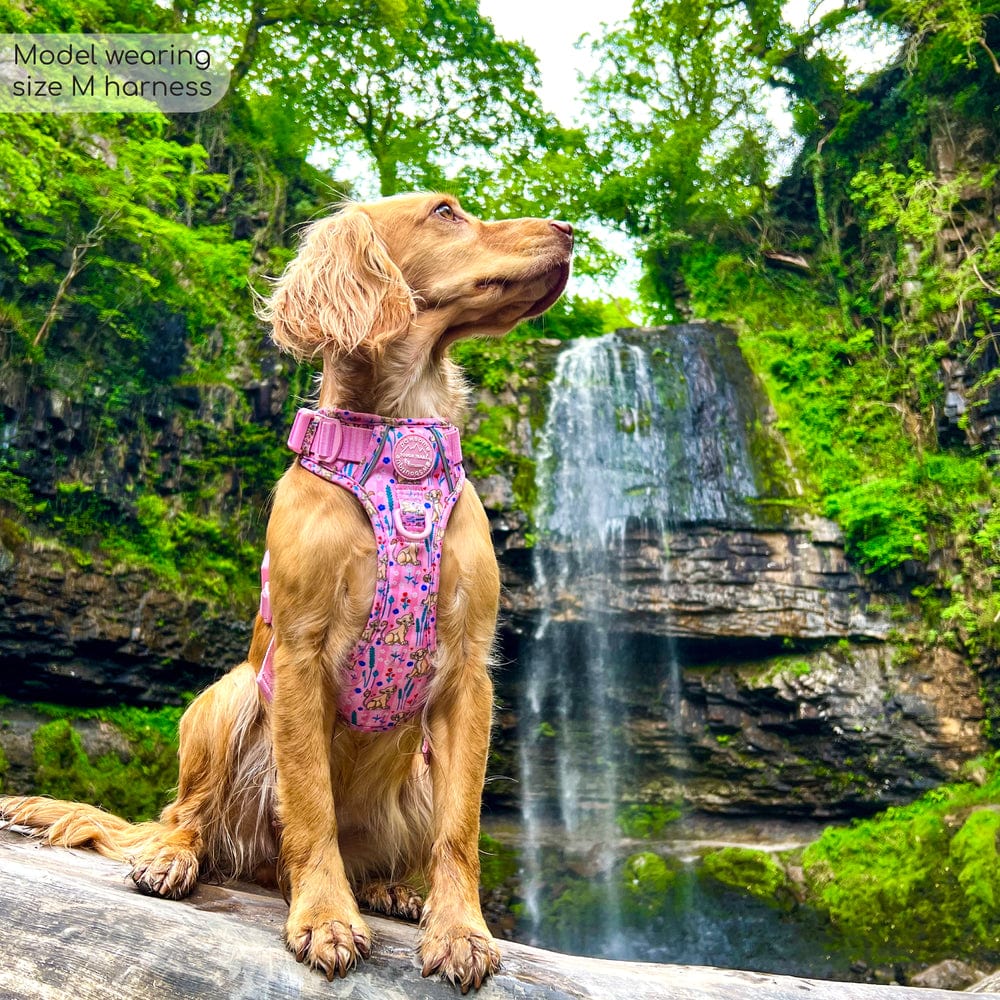 Pawsome Paws Boutique x Disney Tough Trails Harness - Nala