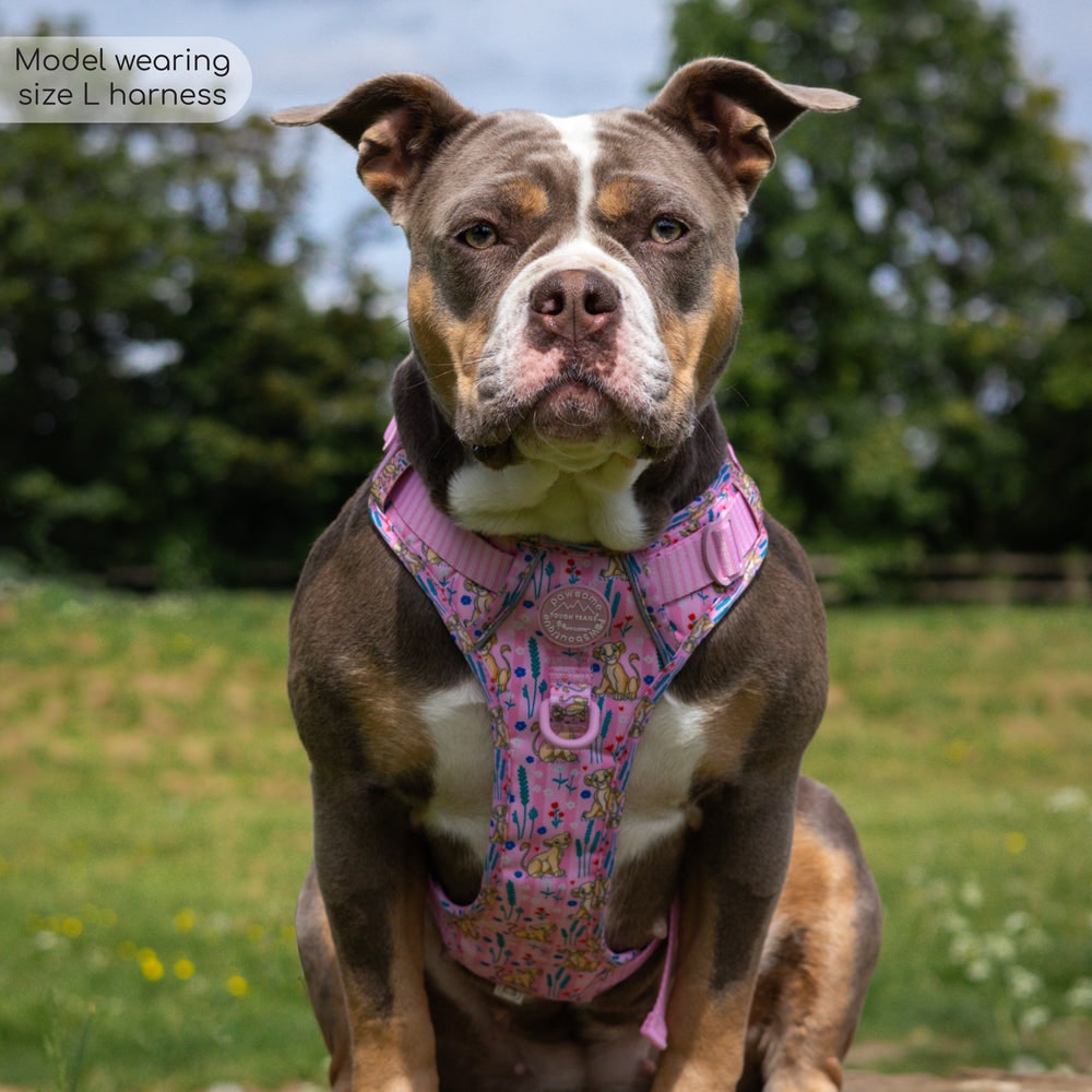 Pawsome Paws Boutique x Disney Tough Trails Harness - Nala