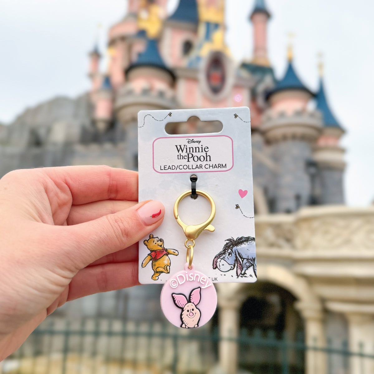 Pawsome Paws Boutique x Disney Charm - Piglet